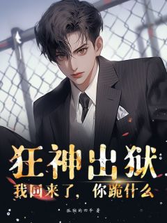 （全本）狂神出狱：我回来了，你跪什么主角叶凌天糖糖全文目录畅读
