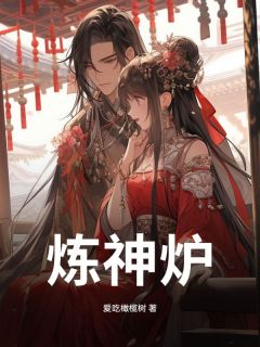 独家炼神炉小说-主角叶辰玲珑女帝全文免费阅读
