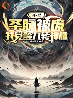 开局圣脉被废，我觉醒九转神脉小说(完结)-叶晨叶岩峰无删减阅读
