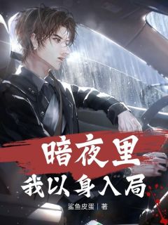 暗夜里我以身入局全集小说_韩枫关云霆完结版阅读
