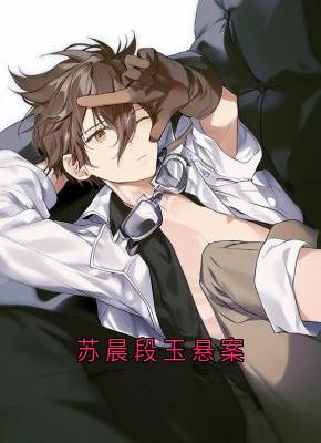 《苏晨陈启明》主角小说苏晨段玉悬案抖音文免费阅读全文
