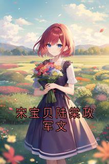 宋宝贝陆棠政军文