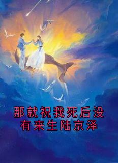 那就祝我死后没有来生陆京泽