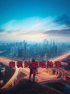 秦枫封昭昭陆淮年