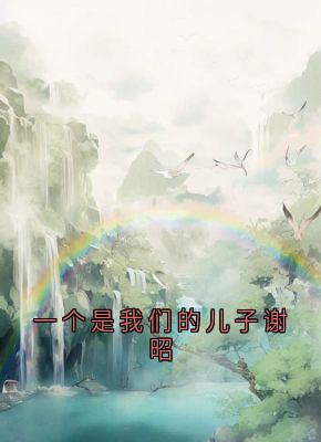 一个是我们的儿子谢昭