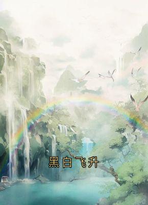 黑白飞升