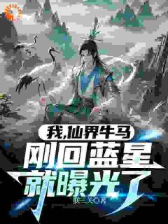 我都飞升了，怎么还要当牛马？大结局阅读 黄天周平小说在线章节
