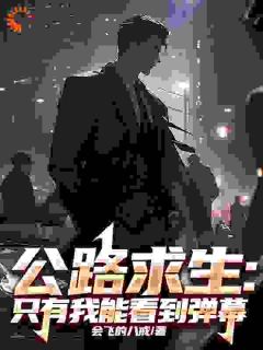 公路求生：只有我能看到弹幕赵毅江晚晚大结局在线阅读
