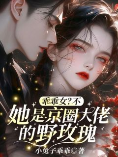 小说乖乖女？不，她是京圈大佬的野玫瑰主角为许漾沈砚免费阅读
