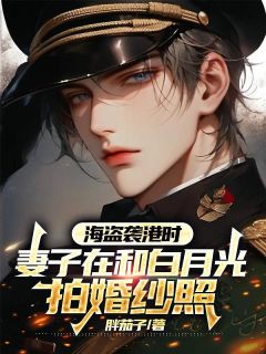 《海盗袭港时，妻子在和白月光拍婚纱照》（陈子穆傅清岚）精彩小说目录阅读
