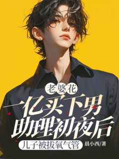 段淮川傅晚卿全章节阅读-老婆花一亿买下男助理初夜后，儿子被拔氧气管全文分享阅读
