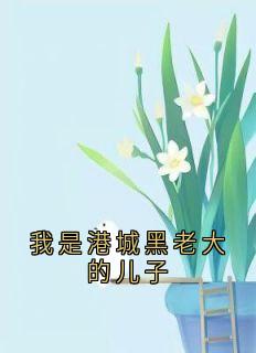主角周皓轩江凡小说完整版最新章节-我是港城黑老大的儿子免费阅读全文
