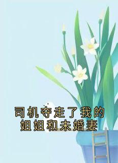 【司机夺走了我的姐姐和未婚妻】主角(周皓轩江凡)在线阅读

