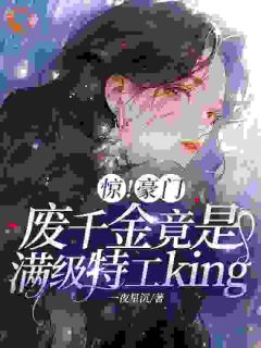 惊！豪门废千金竟是满级特工king小说最后结局，叶槿陆刑百度贴吧小说全文免费
