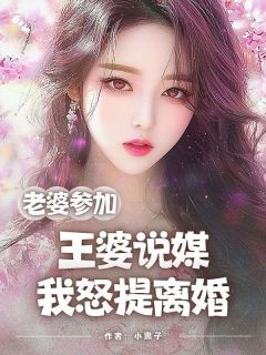 老婆参加王婆说媒，我怒提离婚张龙刘兰免费阅读-老婆参加王婆说媒，我怒提离婚小黑子小说
