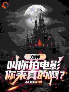 林轩王鹏小说结局
