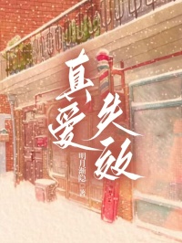 (独家)真爱失效贺强柳如烟小说
