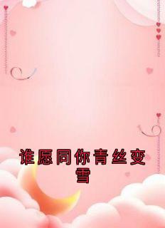 熬夜也要看完的谁愿同你青丝变雪小说推荐
