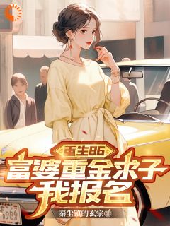 杨光王颖小说哪里可以看 小说《重生86：富婆重金求子，我报名》全文免费阅读
