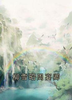 柳雪昭周宴卿