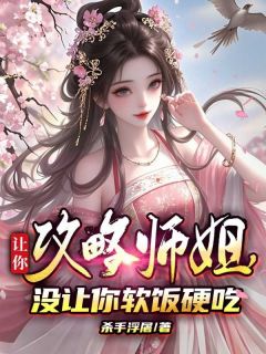 抖音让你攻略师姐，没让你软饭硬吃txt小说阅读
