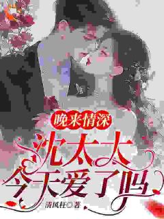 晚来情深，沈太太今天爱了吗(林晚沈时锦向逸飞)最新章节试读
