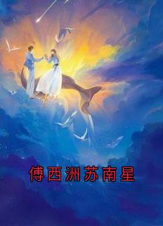 傅西洲苏南星