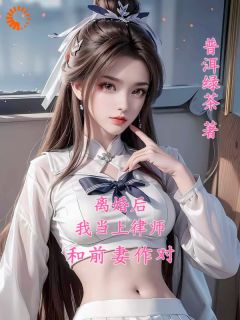 离婚后，我当上律师和前妻作对章节目录小说-陆玄苏梦月免费阅读全文
