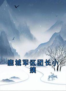 鹿城军区团长小姨无弹窗在线阅读
