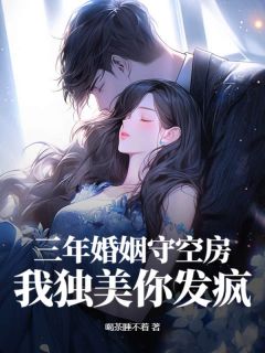 三年婚姻守空房，我独美你发疯小说(完整版)-叶离沈清逸章节阅读
