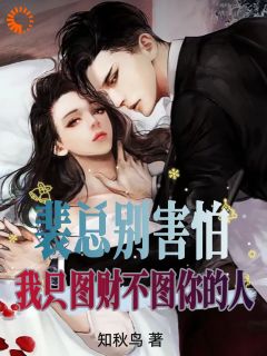 裴延彻周芙萱全集小说_替身带球入局：总裁记忆苏醒后完结版阅读
