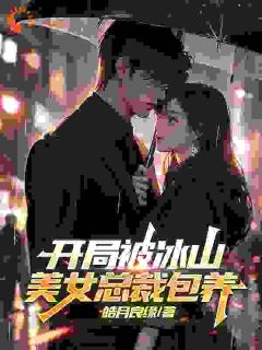 书荒必备林哲沈初云小说
