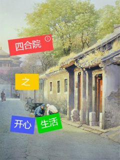 四合院之开心生活小说(完本)-张安张宁无错版阅读
