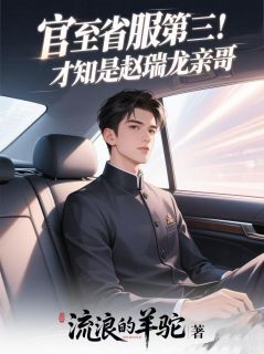 《官至省服第三！才知是赵瑞龙亲哥》by流浪的羊驼免费阅读小说大结局
