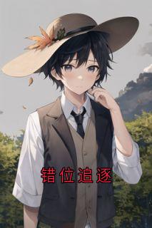 沈幼宁陆泽裴言澈《错位追逐》完结版小说全文免费阅读
