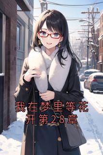 我在梦里等花开第28章