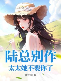 陆总别作，太太她不要你了(时念陆衍止)全文完整版阅读
