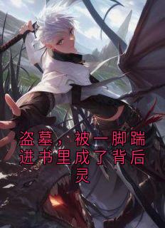 《盗墓，被一脚踹进书里成了背后灵》洛北笙张起灵霍秀秀全章节在线阅读
