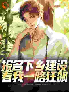 抖音权力巅峰：从基层公务员一路狂飙txt小说阅读
