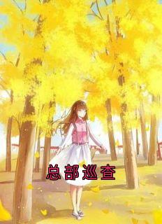 总部巡查