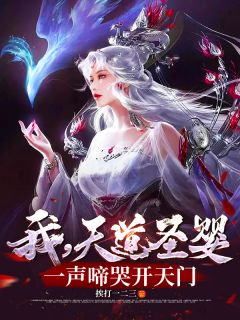 我，天道圣婴，一声啼哭开天门小说(完结)-叶轩叶擎苍章节阅读
