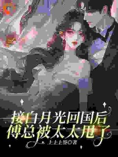 爆款小说《接白月光回国后，傅总被太太甩了》在线阅读-温南溪傅辞宴免费阅读
