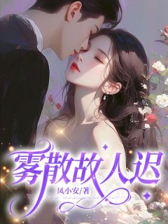 主角陆清野苏莹小说，雾散故人迟免费阅读全文
