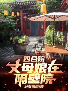 《四合院：丈母娘在隔壁院》（林阳林月叶倾城）精彩小说目录阅读
