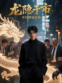 精彩小说龙隐于市：开局被逼还债苏辰刘明远全章节在线阅读
