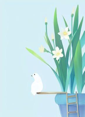 赵刚小雨苏柔小说《末日重生：我囤货锁死安全屋》免费阅读
