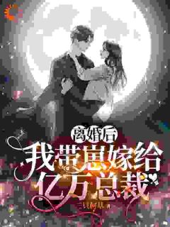 《离婚带崽闪婚，老公竟是财阀大佬》苏晓慧靳言无广告在线阅读
