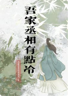 吾家丞相有点冷(苏芷沈砚)最新章节试读

