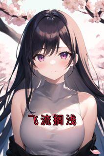 【飞流搁浅】小说在线阅读-飞流搁浅免费版目录阅读全文
