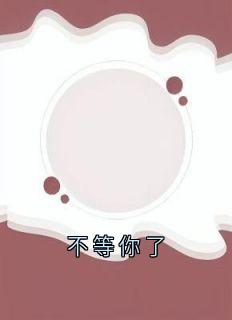 《不等你了》完整版-沈念陆京泽沈烟在线全文阅读
